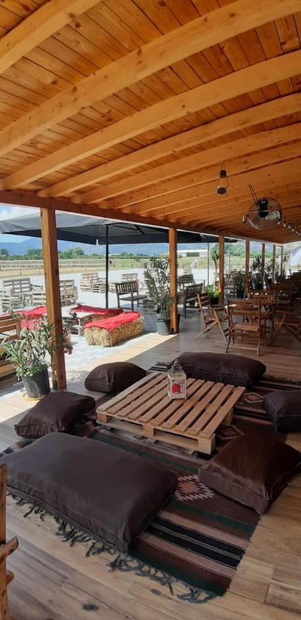 House Of Horses Shtepia E Kuajve Hotel Korce Exterior foto